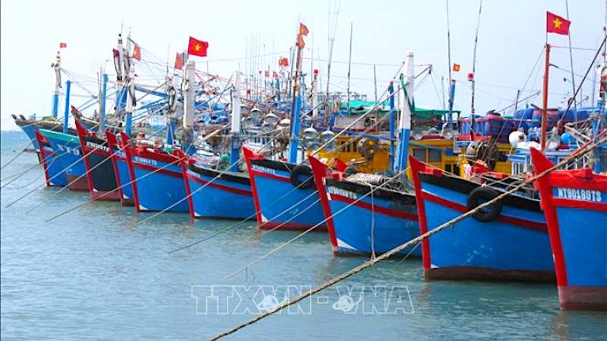 Ninh Thuan fights IUU fishing to boost sustainable maritime economy